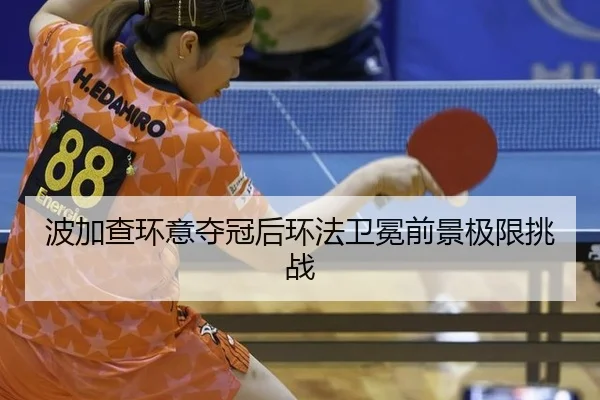 bo-jia-cha-huan-yi-duo-guan-hou-huan-fa-wei-mian-qian-jing-ji-xian-tiao-zhan-2-389.jpg